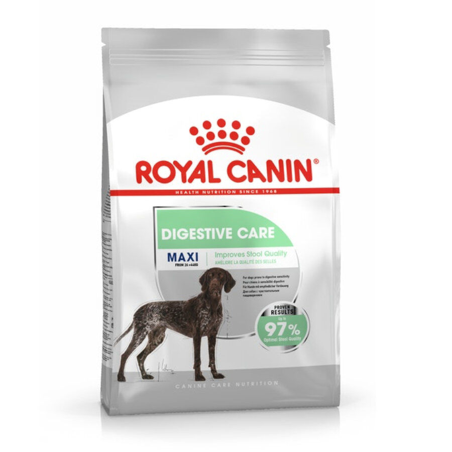 12 kg Royal Canin Digestive Care Maxi pienso para perros, , large Imagen numero 1