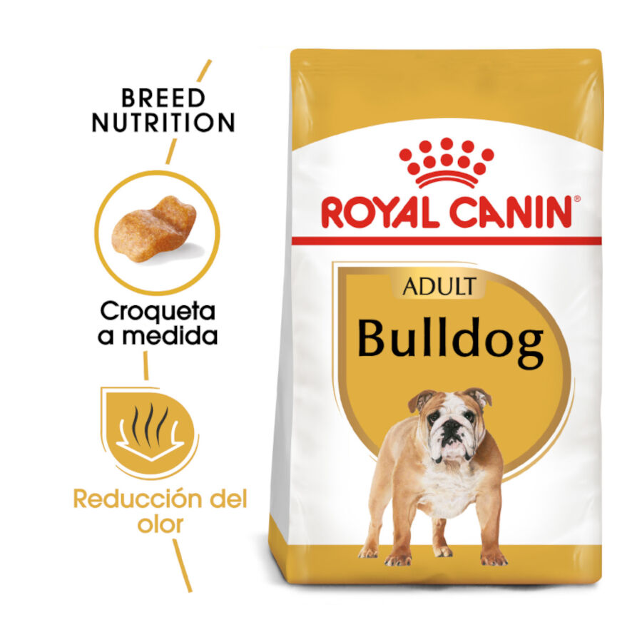 12 kg Royal Canin Adult Bulldog pienso para perros, , large Imagen numero 2