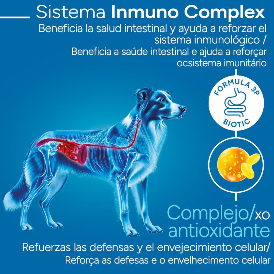 12 kg Criadores Cient&iacute;fico Senior Pienso para perros de razas medianas y grandes, , large indicador imagen numero 3