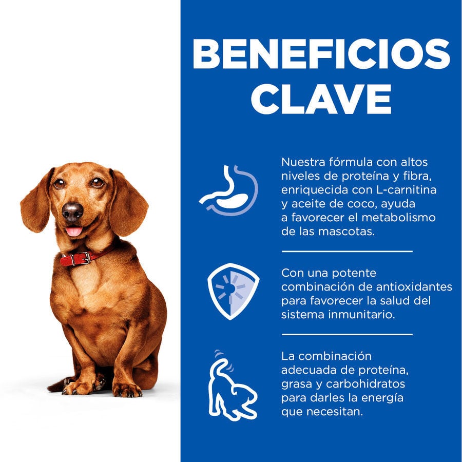200 g Hill's Science Plan Adult Small & Mini Perfect Weight Mousse de Pavo lata para perros, , large Imagen numero 4