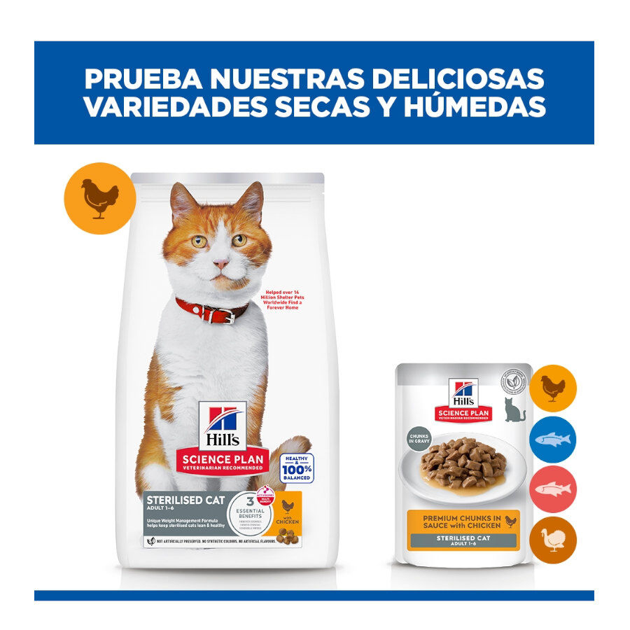 85 g Hill's Science Plan Sterilized Young Adult Pollo sobre para gatos, , large indicador imagen numero 11