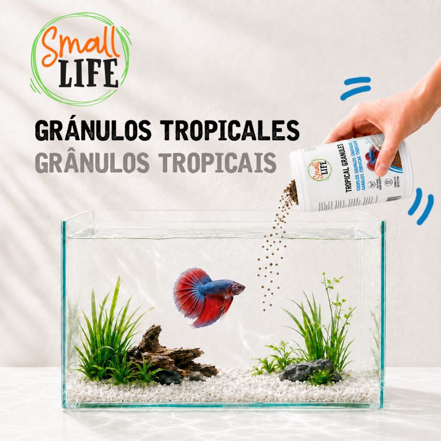 250 ml Small Life Gr&aacute;nulos Tropical Alimento para peces, , large Imagen numero 3