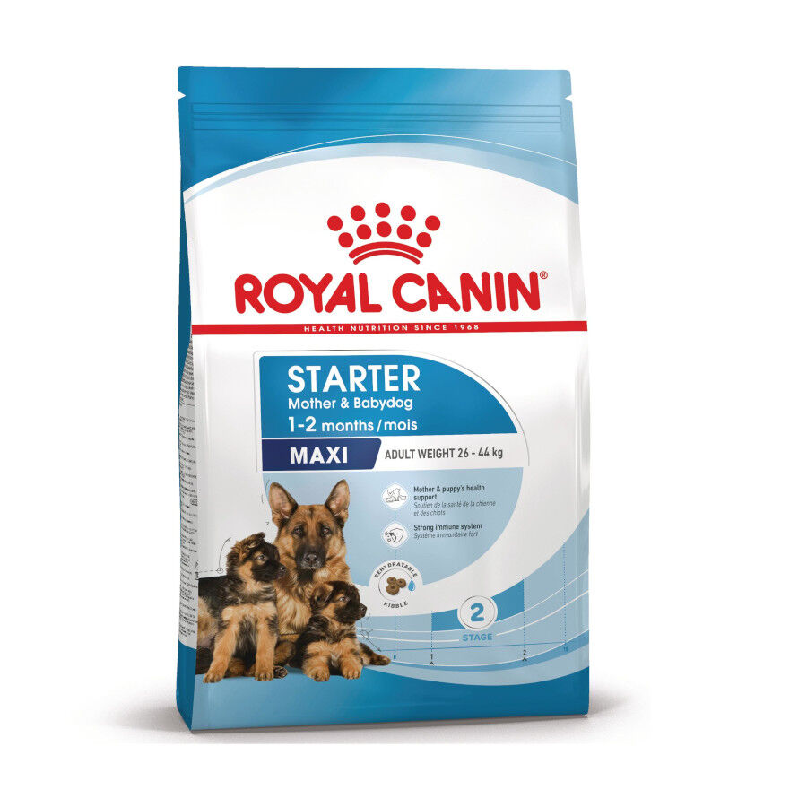 4 kg Royal Canin Starter MotheryBaby Maxi pienso para perros, , large Imagen numero 1