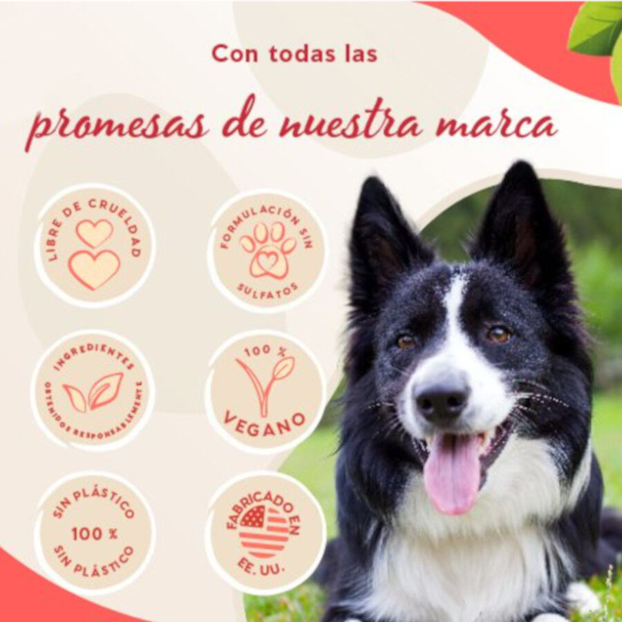 Pet Head champ&uacute; en pastilla 3 en 1 olor granada para perros, , large indicador imagen numero 4