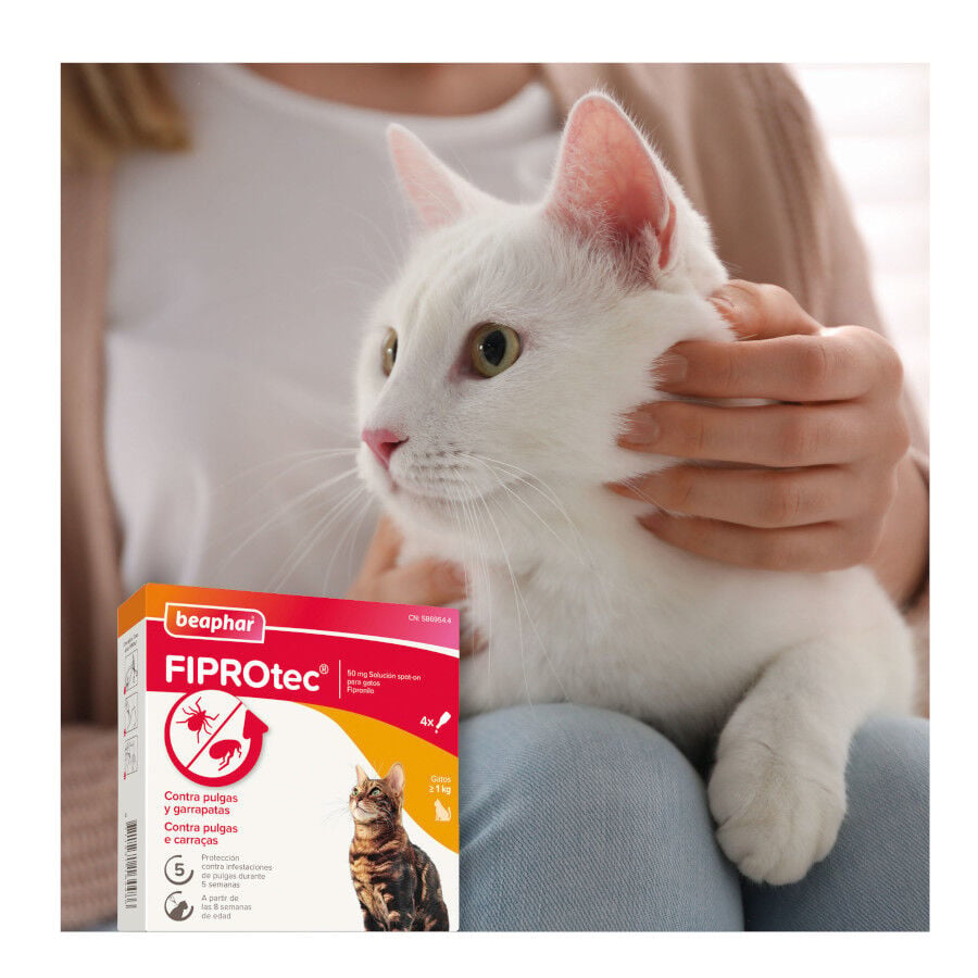 Beaphar Fiprotec Pipetas Antiparasitarias para gatos, , large Imagen numero 8