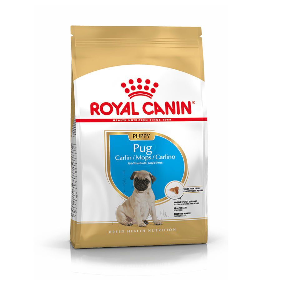 1.5 kg Royal Canin Puppy Pug pienso para perros, , large Imagen numero 1