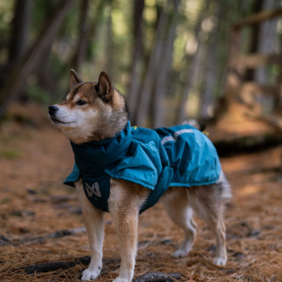 Non-stop Dogwear Chaqueta Azul y Verde para perros, , large indicador imagen numero 2