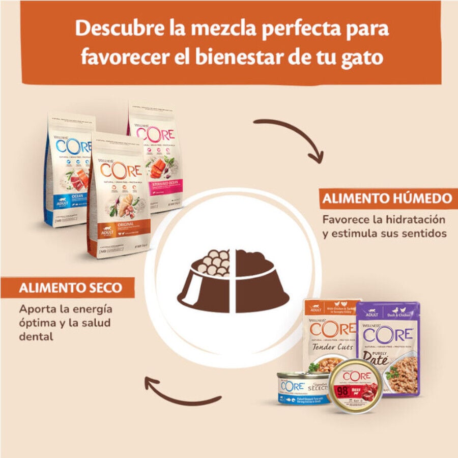 85 g Wellness Core Tender Cuts at&uacute;n sobre en salsa para gatos, , large Imagen numero 4