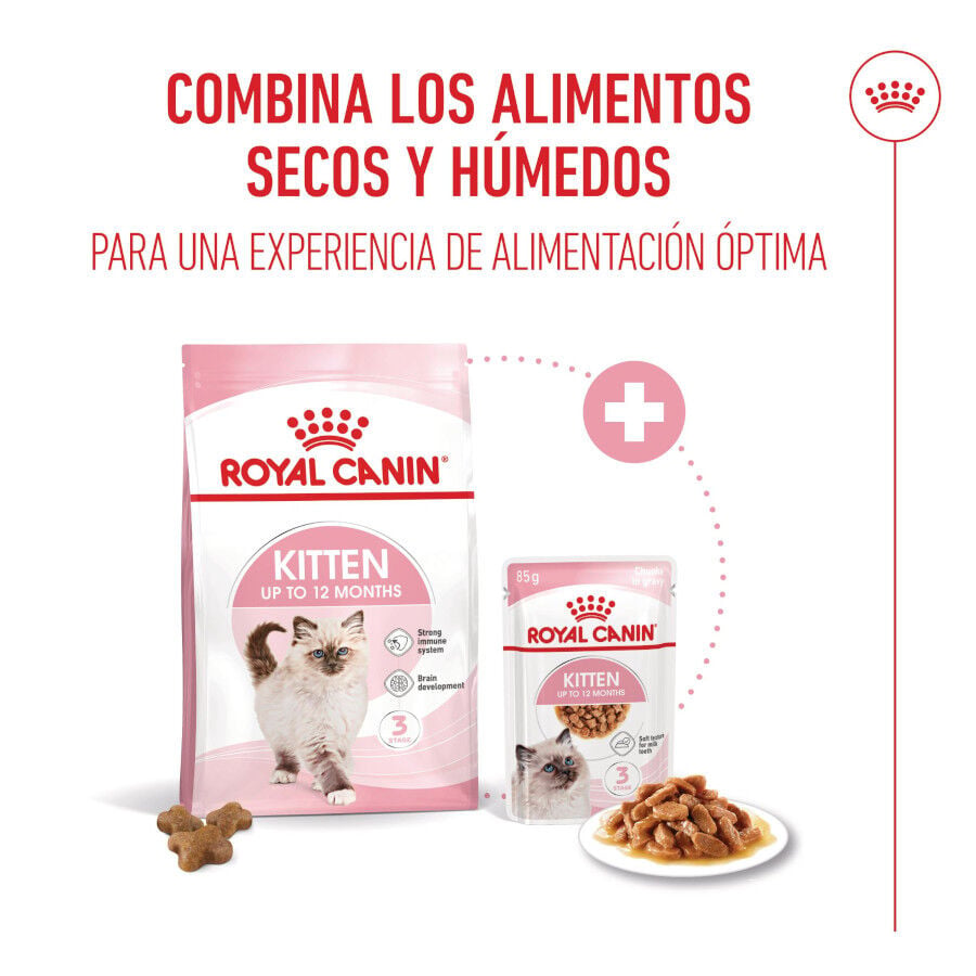 4 kg Royal Canin Kitten pienso para gatos, , large Imagen numero 11