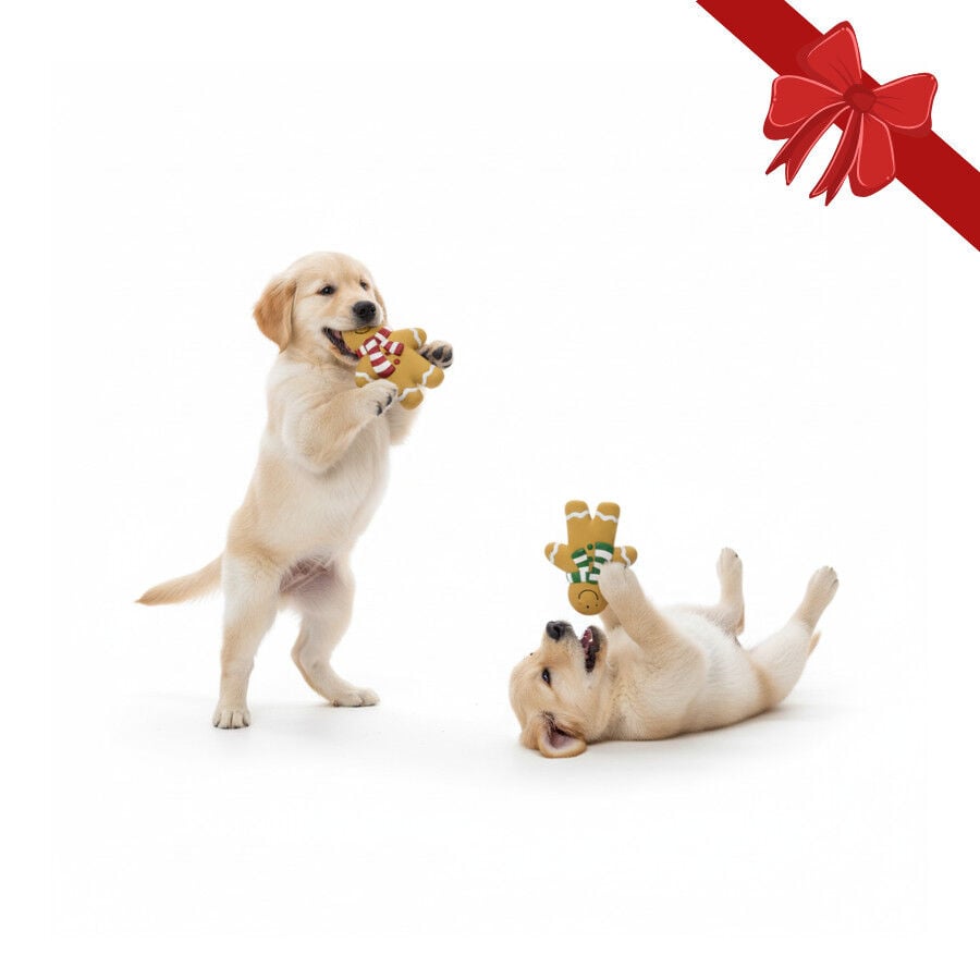 Wonder Christmas Super Gingerman Mordedor Navide&ntilde;o para perros, , large Imagen numero 1