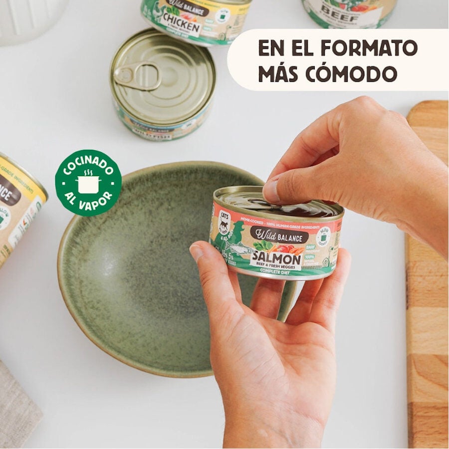 120 g Wild Balance BARF Salm&oacute;n y Ternera lata para gatos, , large indicador imagen numero 3