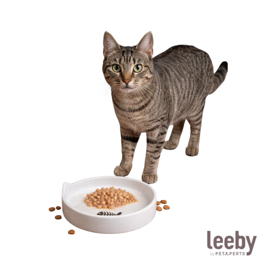 Leeby Comedero de Cer&aacute;mica Blanco con Orejitas para gatos