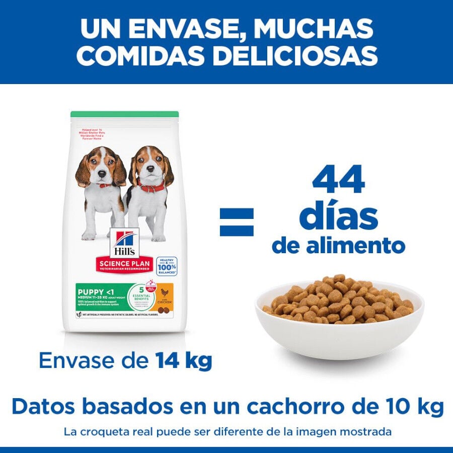 18 kg Hill's Science Plan Puppy Medium pollo pienso para perro, , large indicador imagen numero 6