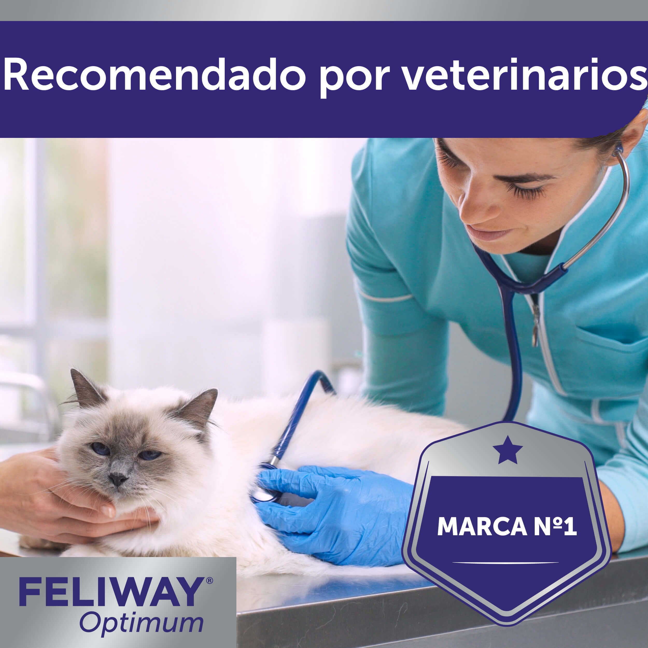 Feliway Optimum Difusor Tranquilizante para gatos, , large Imagen numero 7