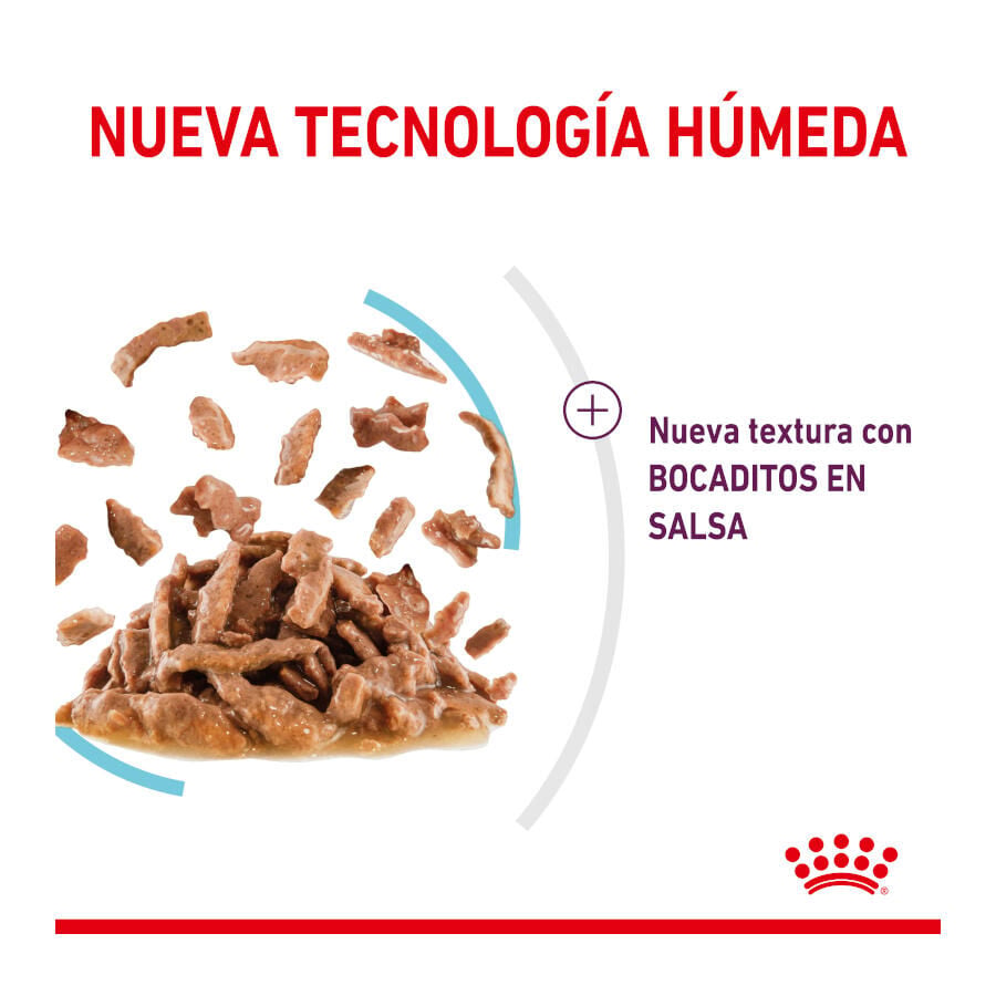 85 g Royal Canin Adult Sensory Feel salsa sobre para gatos, , large indicador imagen numero 3
