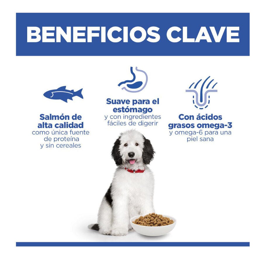14 kg Hill's Science Plan Hipoalerg&eacute;nico Large Salm&oacute;n pienso para perros, , large Imagen numero 4
