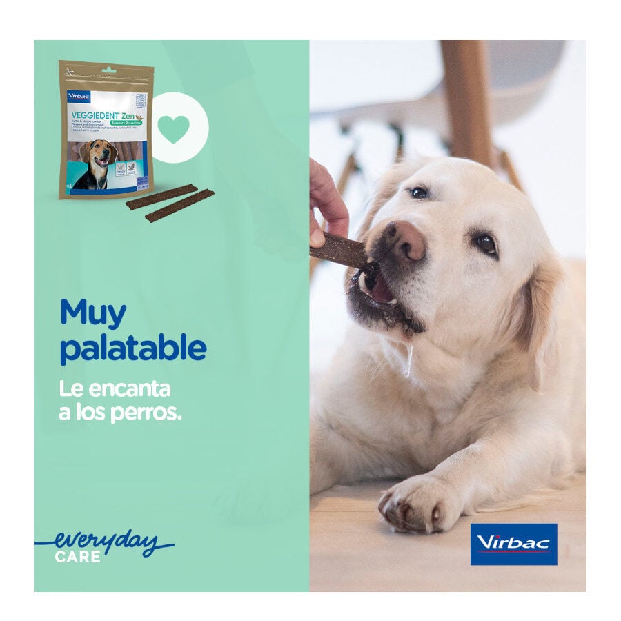 15 barritas Virbac L&aacute;minas Veggiedent Zen S para perros, , large Imagen numero 8