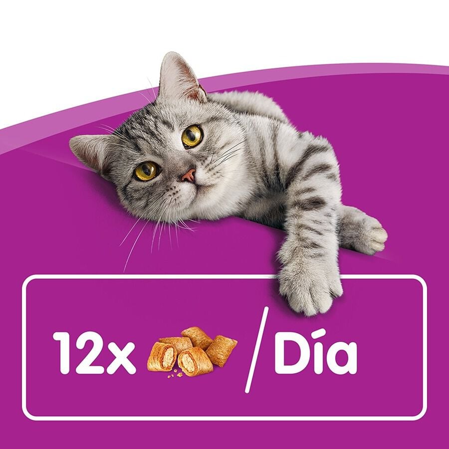 60 g Whiskas Temptations Snacks Salm&oacute;n para Gatos, , large Imagen numero 6