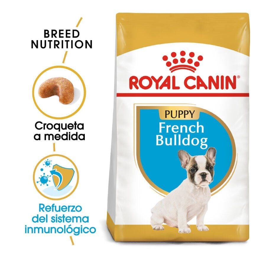 10 kg Royal Canin Puppy French Bulldog pienso para perros, , large Imagen numero 2