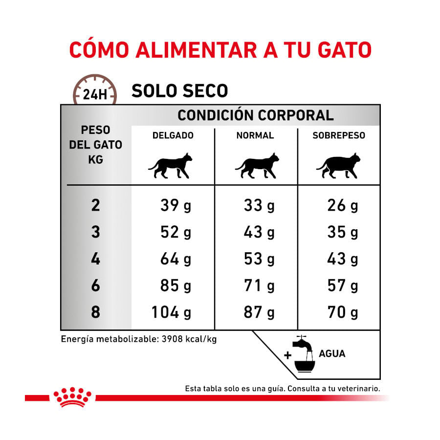 4 kg Royal Canin Veterinary Gastrointestinal Fibre Response pienso para gatos, , large indicador imagen numero 8