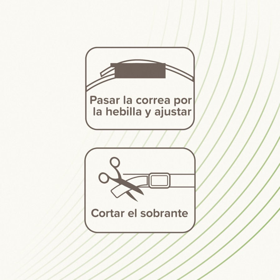 Beaphar Collar repelente para perros, , large Imagen numero 5