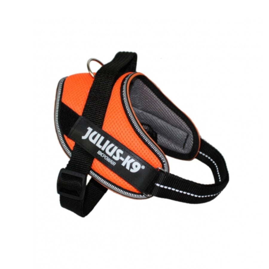 Julius K-9 IDC Powair Arn&eacute;s Naranja para perros, , large Imagen numero 1