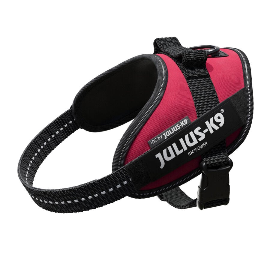 Julius K-9 IDC Arn&eacute;s Magenta para perros