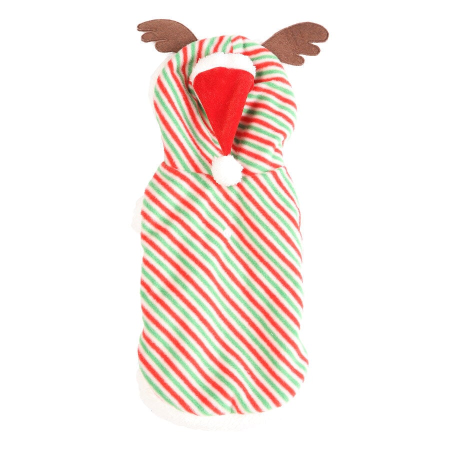 Wonder Christmas Beanie jersey para perros, , large Imagen numero 1