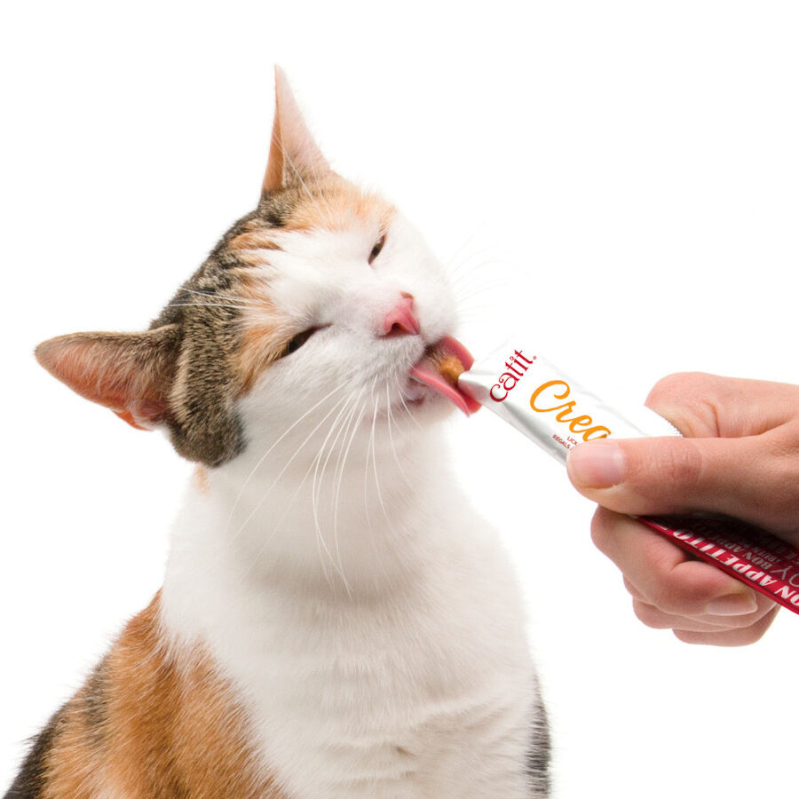 4 sobres x 10 g Catit Creamy Snack L&iacute;quido de Pollo para gatos, , large indicador imagen numero 3