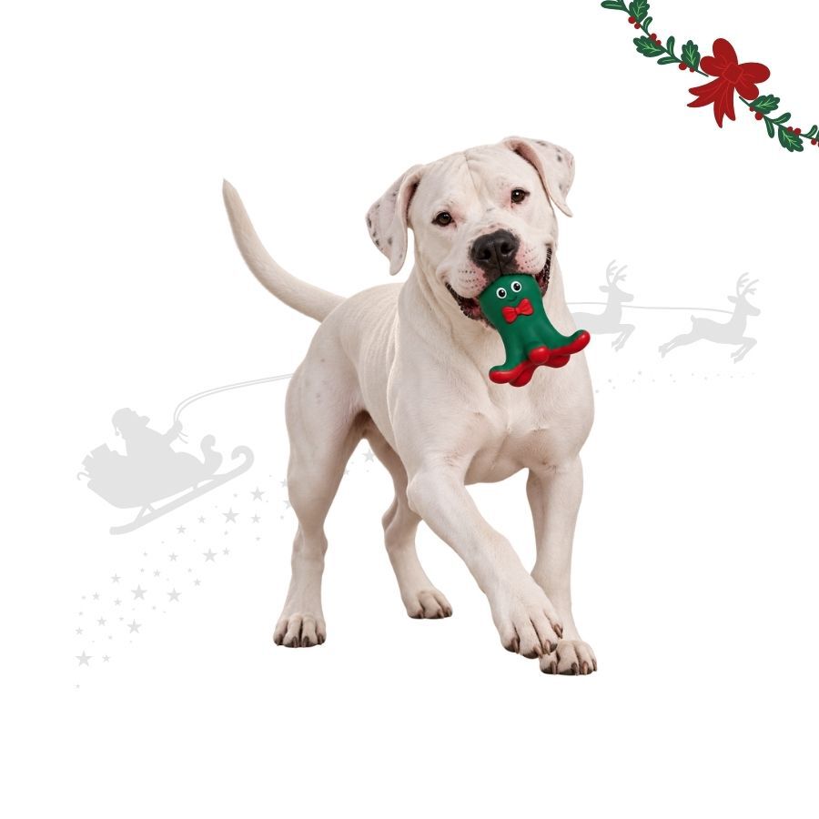 Wonder Christmas Pulpo L&aacute;tex Juguete para perros, , large indicador imagen numero 1