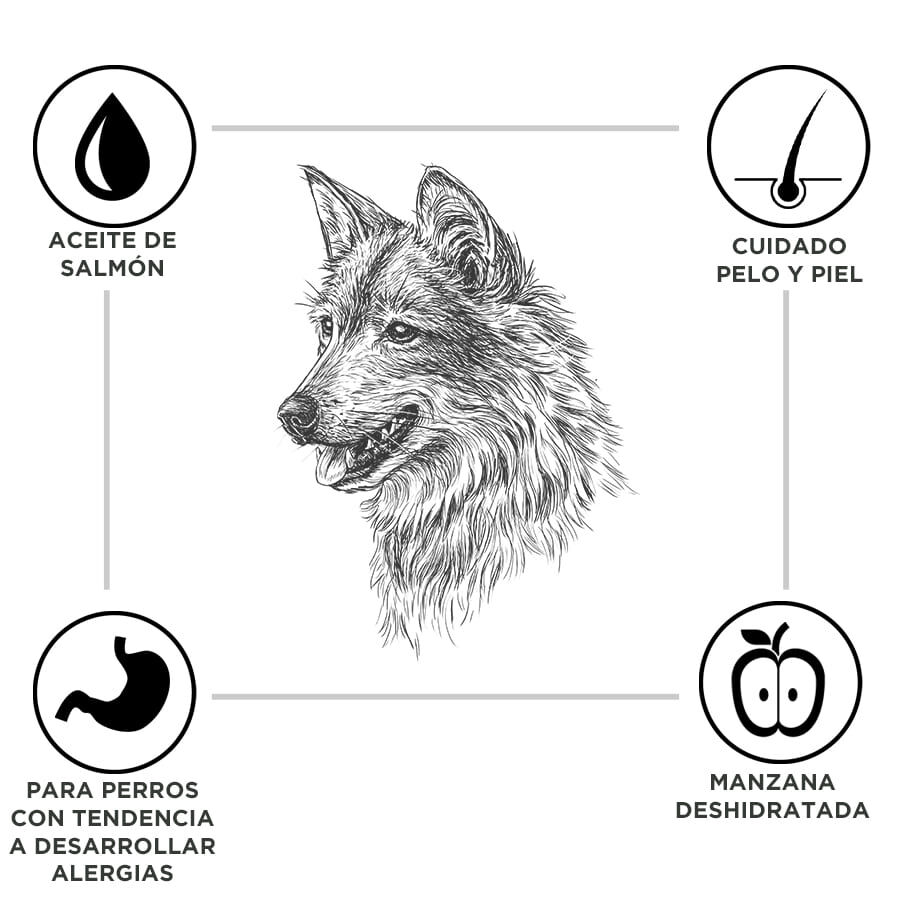 15 kg Criadores Adulto Cordero y Arroz pienso para perros de razas mediana y grande, , large indicador imagen numero 3