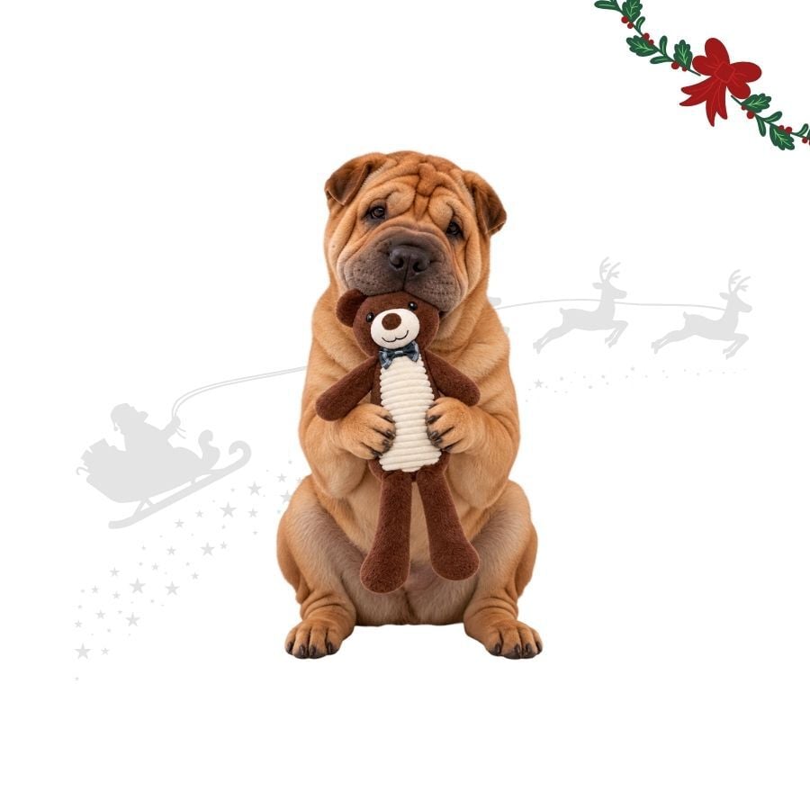 Wonder Christmas Amigo Oso XL Peluche para perros, , large indicador imagen numero 1