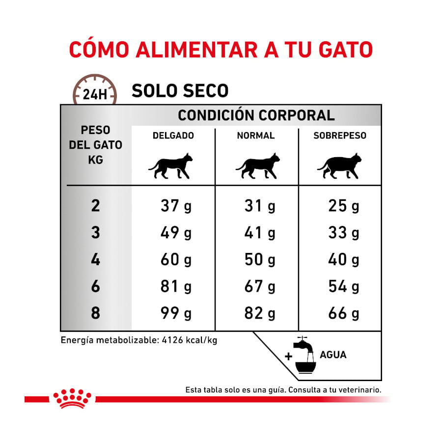 4 kg Royal Canin Veterinary Hepatic pienso para gatos, , large Imagen numero 7