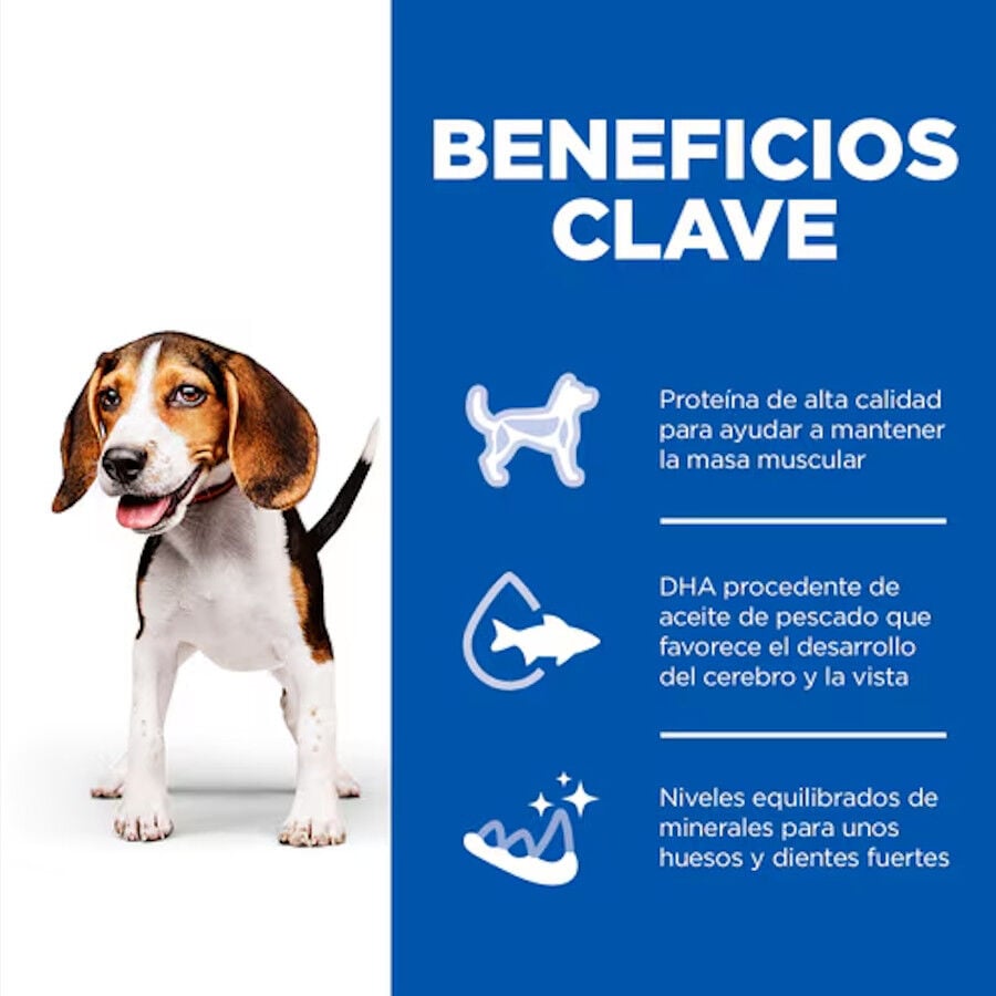 370 g Hill's Science Plan Puppy Ternera en Pat&eacute; lata para perros, , large indicador imagen numero 5