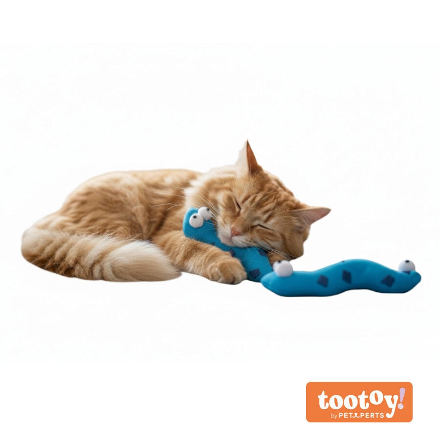 Tootoy! Pack de 2 Serpientes de Tela con Catnip Azules para gatos