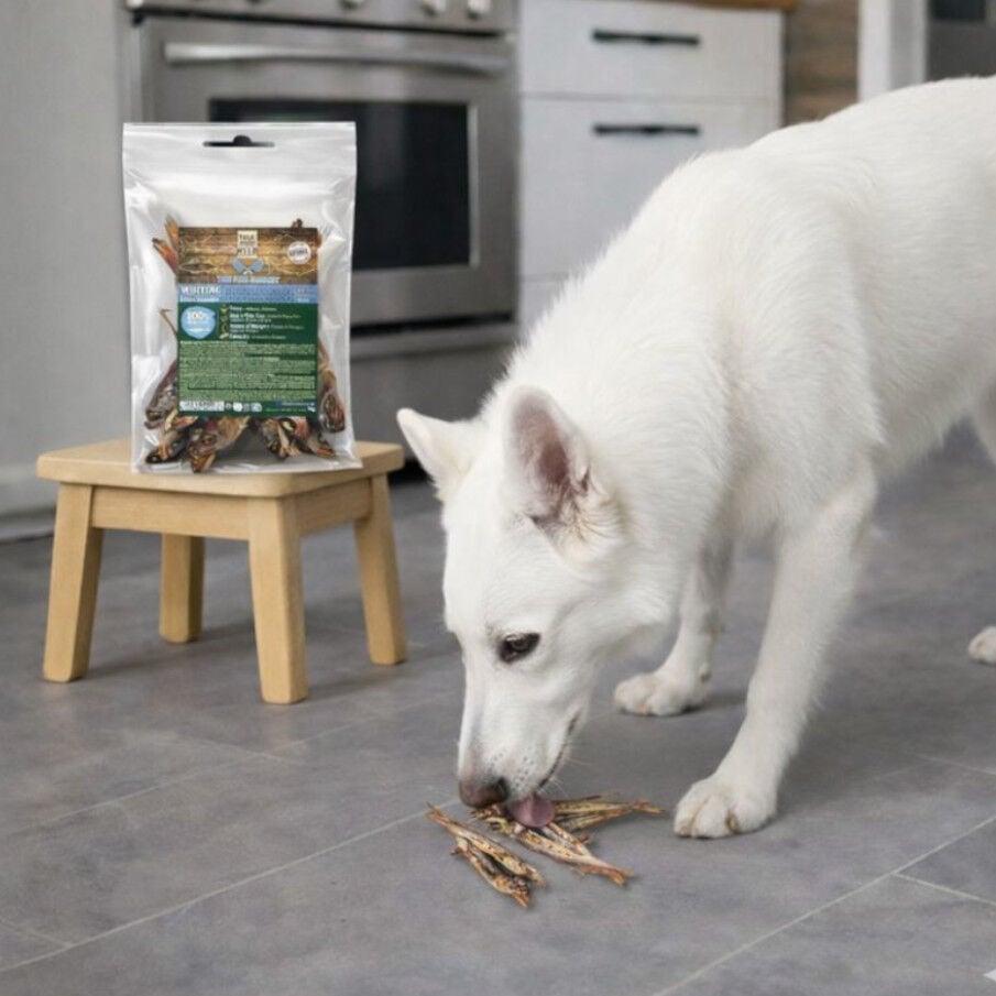 70 g. True Origins Lirio Snack para perros, , large indicador imagen numero 1