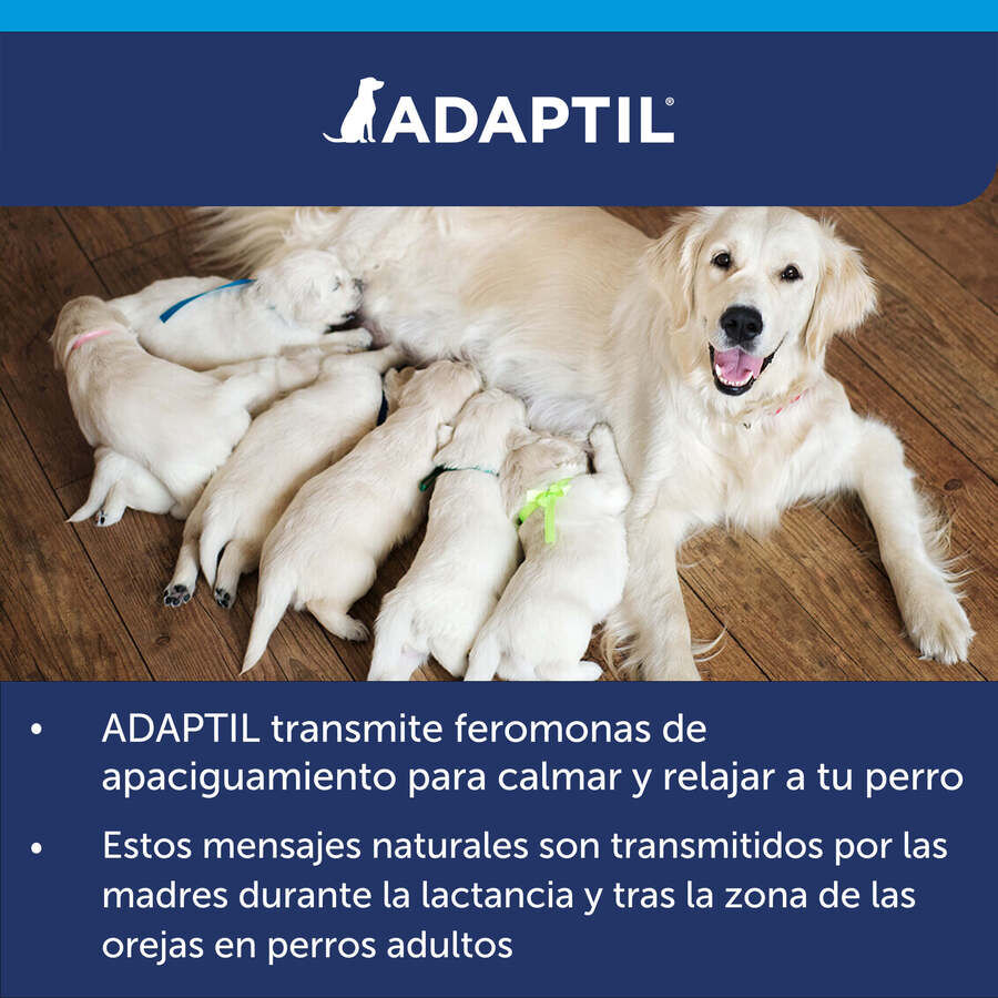 Adaptil Difusor + Recambio Tranquilizante para perros, , large Imagen numero 3