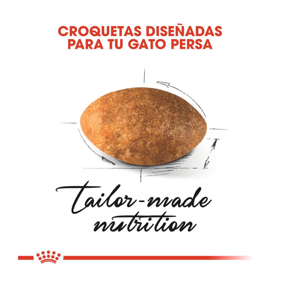 10 kg Royal Canin Persian pienso para gato adulto persa, , large Imagen numero 5