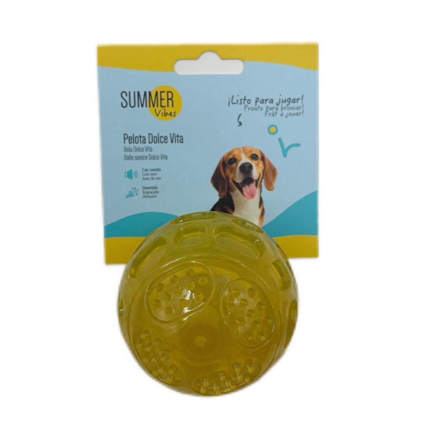 Summer Vibes Pelota de goma juguete para perros, , large indicador imagen numero 5