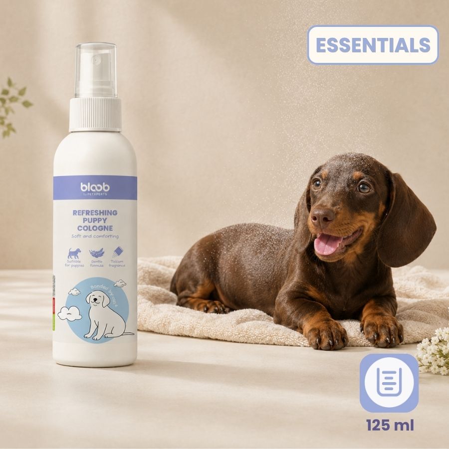 Bloob Colonia Refrescante para cachorros, , large Imagen numero 7