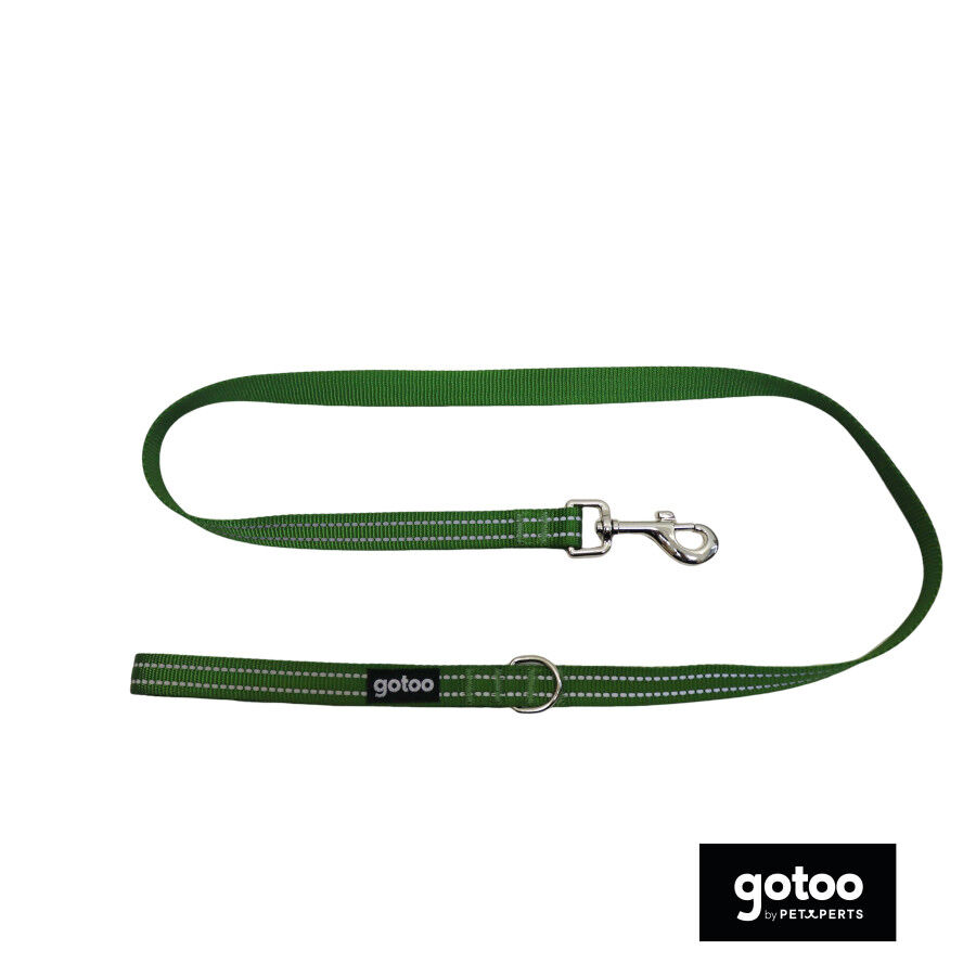 Gotoo Correa de nylon reflectante verde para perros, , large indicador imagen numero 2