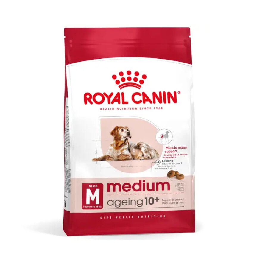 Royal Canin Medium 10+ Ageing pienso para perros senior