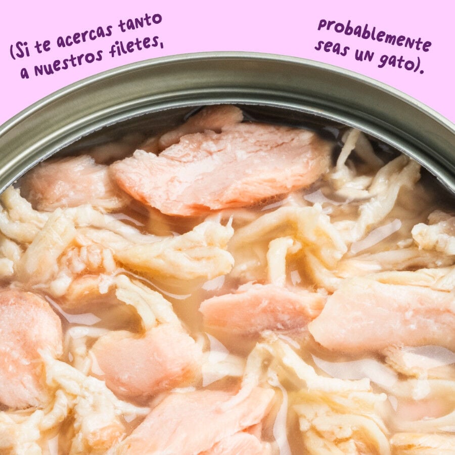 70 g Edgard & Cooper Filetes de Salm&oacute;n y Pollo Lata para gatos, , large indicador imagen numero 5