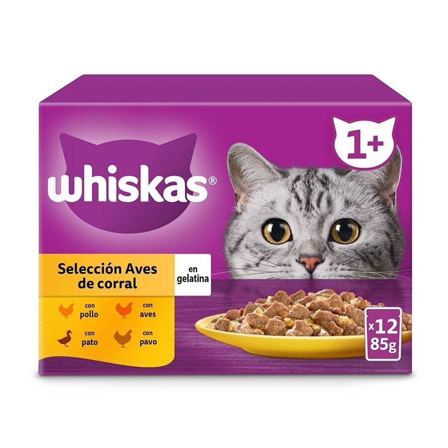 12 sobres x 85 g Whiskas Selecci&oacute;n Aves Gelatina en Bolsita para Gatos Adultos, , large Imagen numero 2