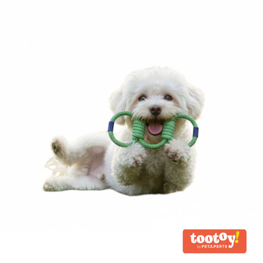 Tootoy! Mordedor de Cuerda Triple para perros, , large Imagen numero 8