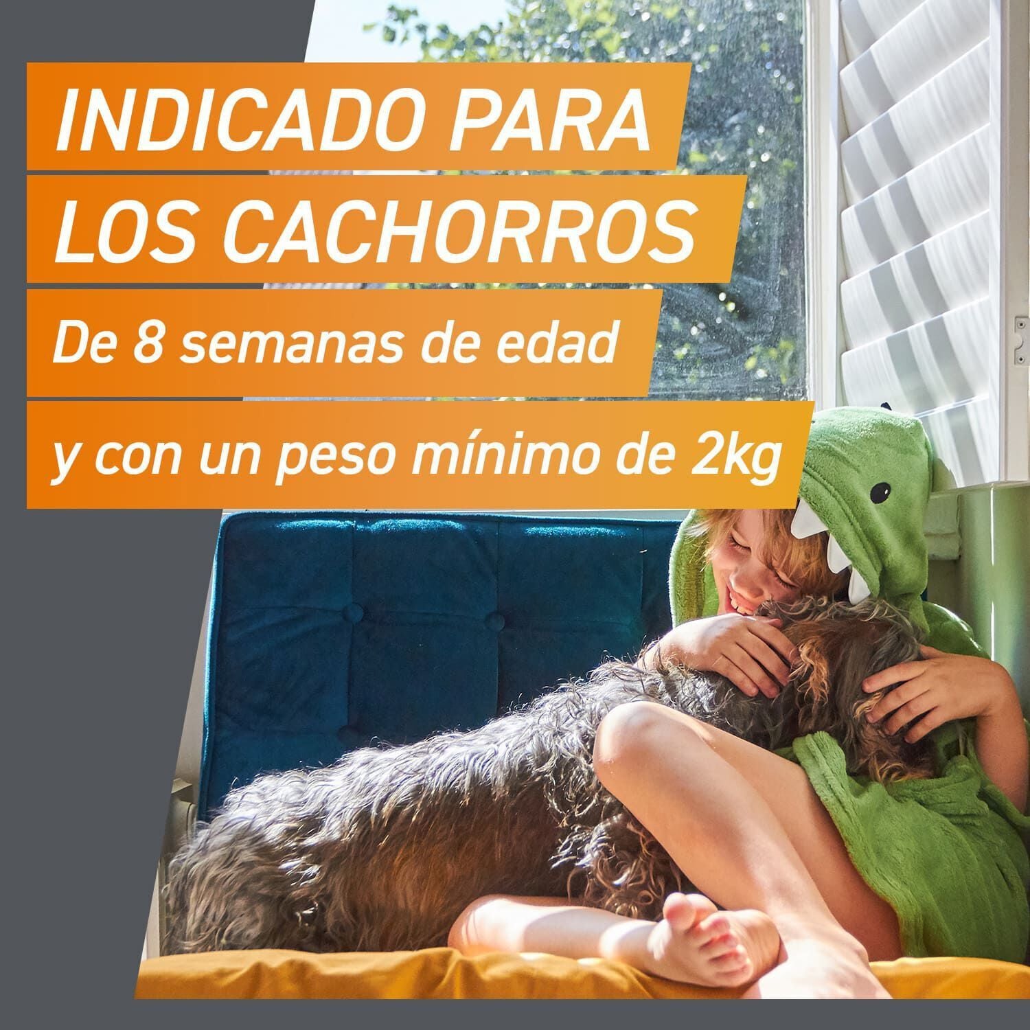 Frontpro Comprimidos Masticables Antiparasitario para perros, , large Imagen numero 9