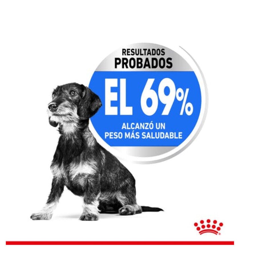 1.5 kg Royal Canin Light Weight Care X-Small pienso para perros, , large indicador imagen numero 5