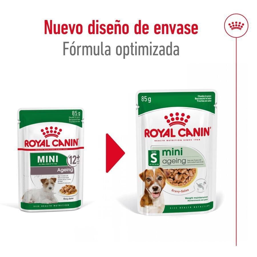 85 g Royal Canin Mini Ageing sobres en salsa para perros&nbsp;senior, , large indicador imagen numero 2
