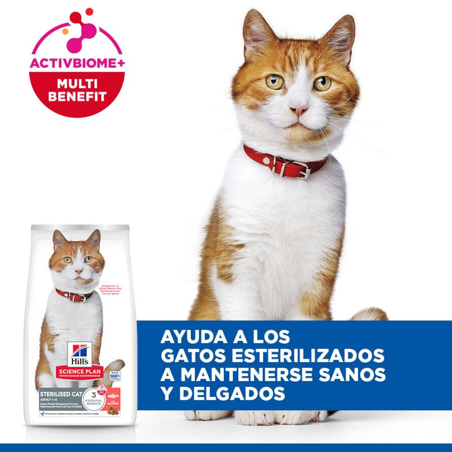 7 kg Hill's Science Plan Sterilised Adult Salm&oacute;n pienso para gatos, , large Imagen numero 4