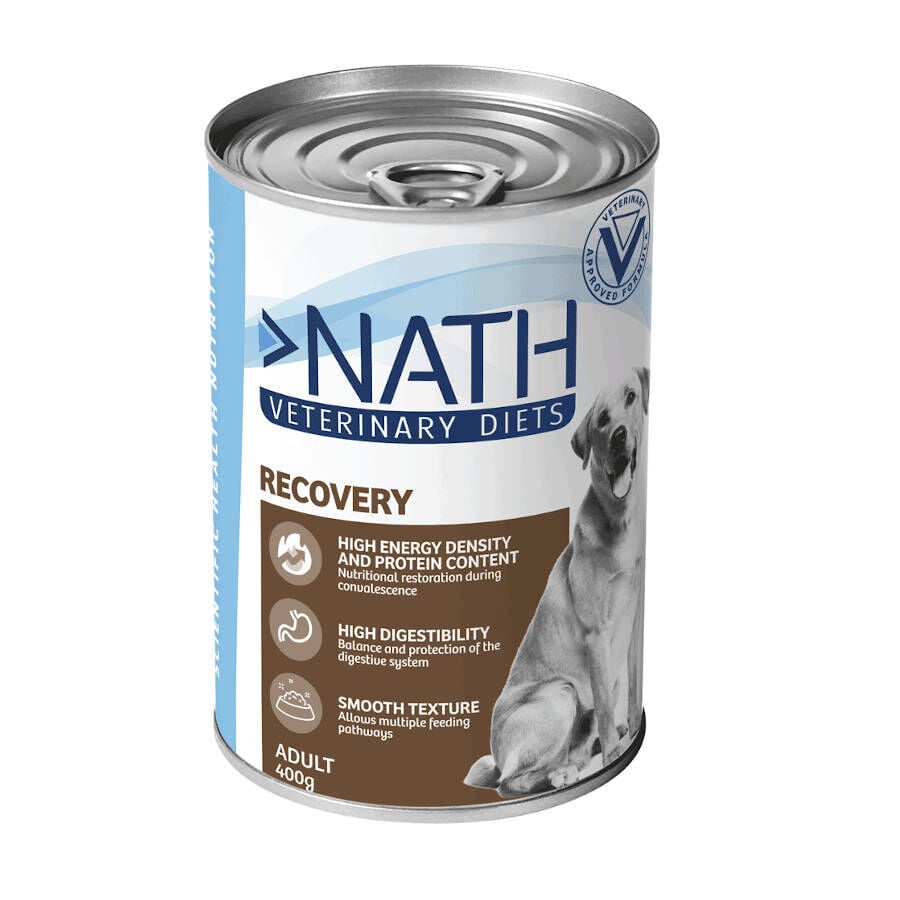 400 g Nath Veterinary Diets Recovery Salm&oacute;n con H&iacute;gado de Pollo lata para perros, , large Imagen numero 1